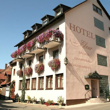 Hotel Ebner Бад-Кёнигсхофен-им-Грабфельд Экстерьер фото